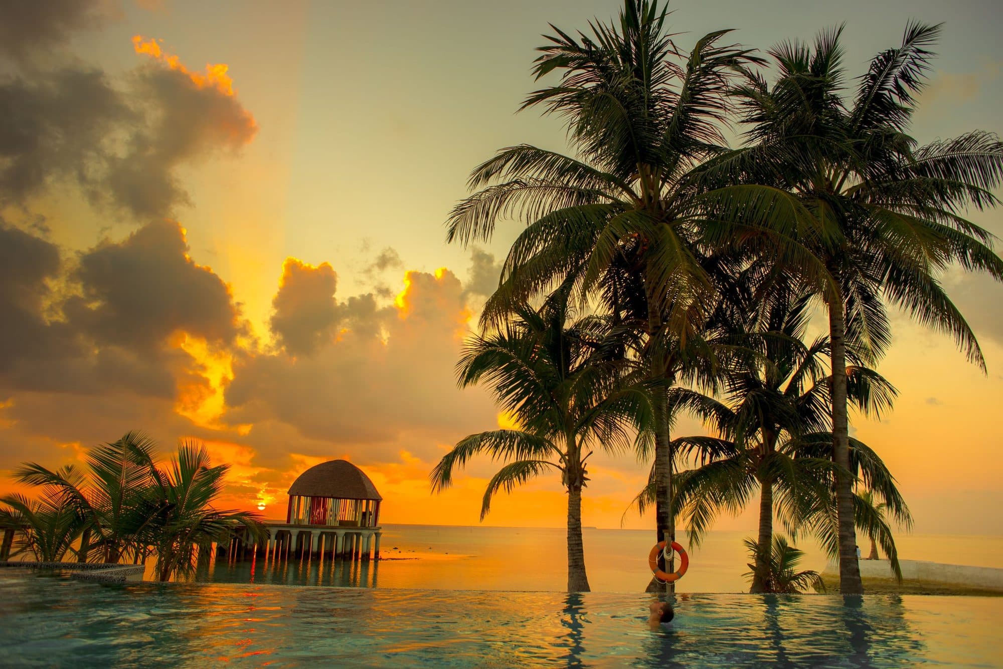 Infinity pool facing the ocean at sunset, framed by palms