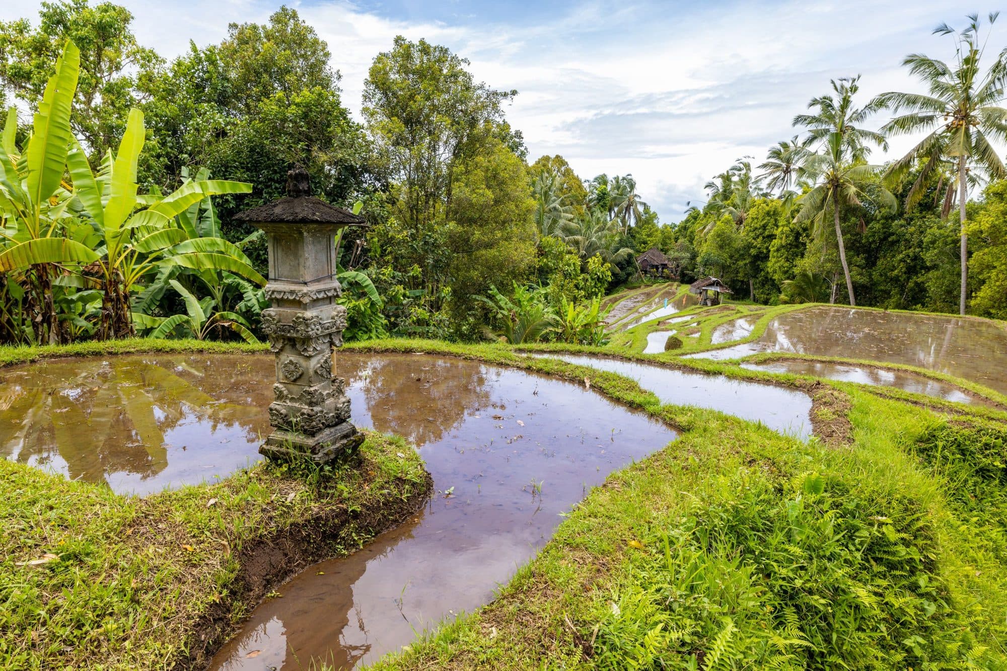 A small shrine at the edge of a flooded rice terrace in Bali