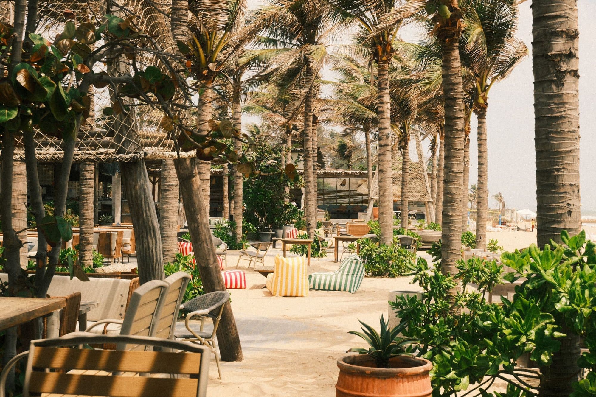 A beach club terrace with palms and lounge seating