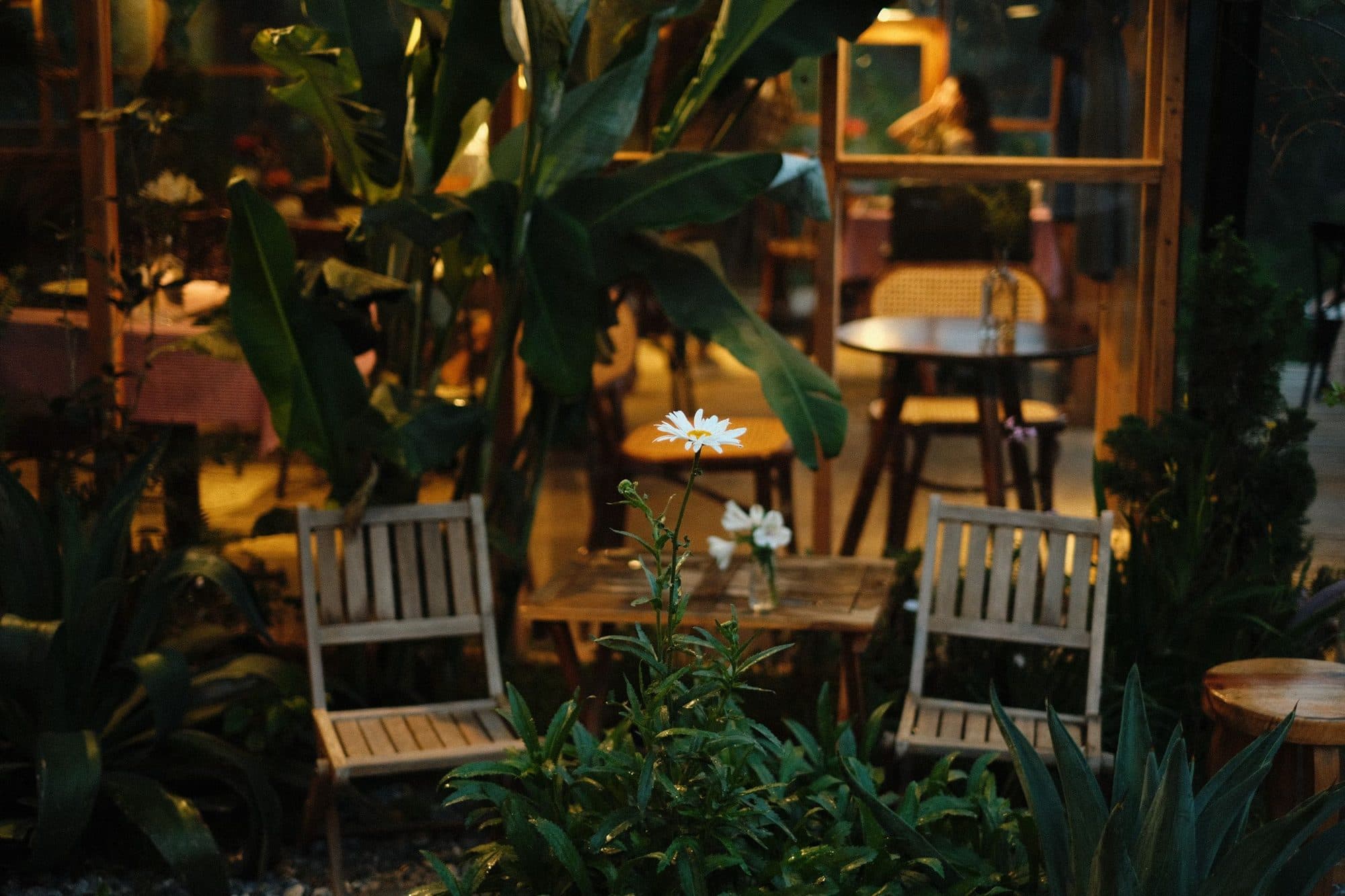 An outdoor dining area with wooden chairs set among lush greenery
