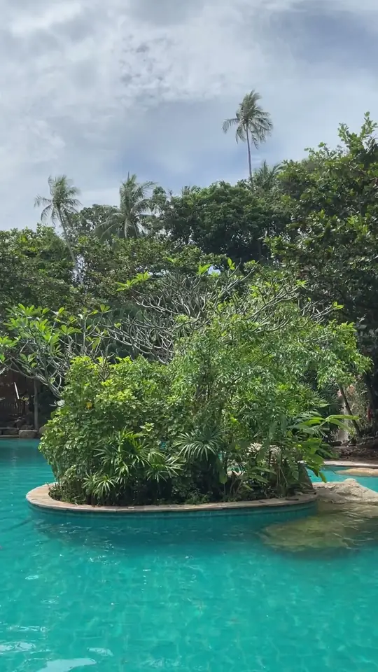 Looking down onto a turquoise pool between palms